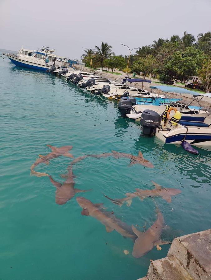 Rashuthere Maldives Rasdhoo Buitenkant foto