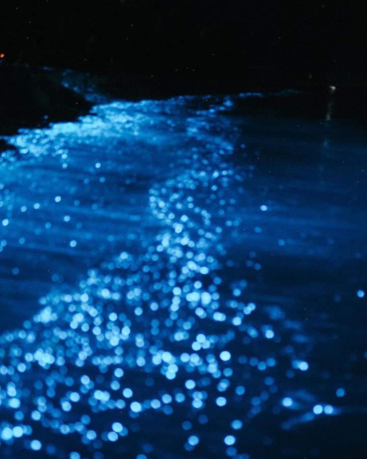 Rashuthere Maldives Rasdhoo Buitenkant foto