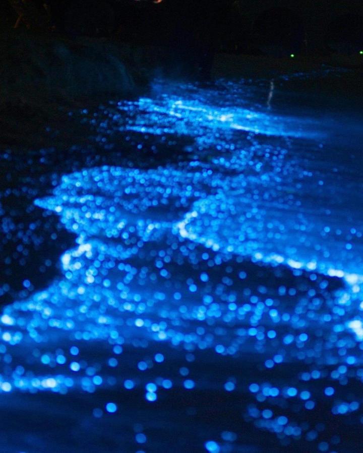 Rashuthere Maldives Rasdhoo Buitenkant foto