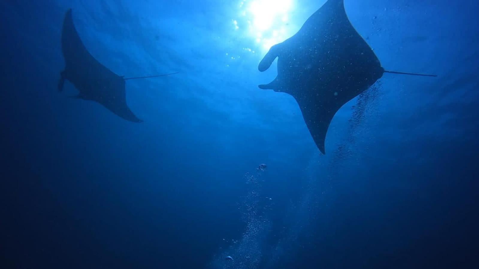 Rashuthere Maldives Rasdhoo Buitenkant foto
