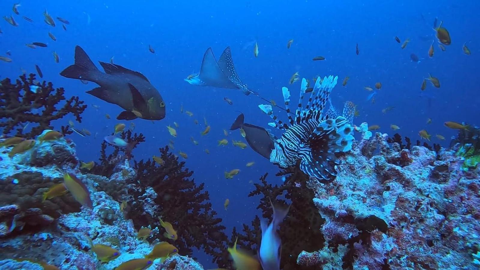 Rashuthere Maldives Rasdhoo Buitenkant foto