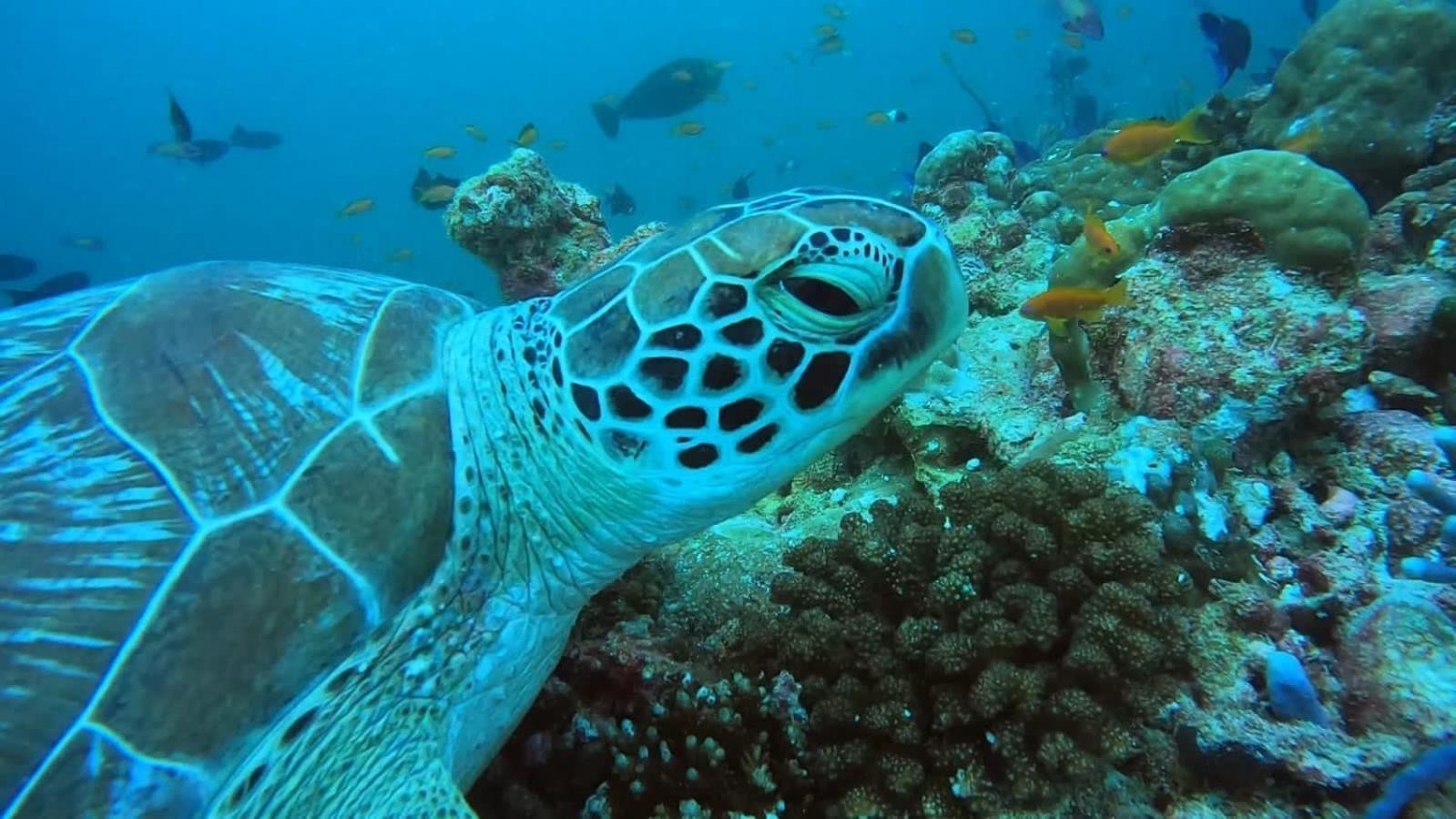 Rashuthere Maldives Rasdhoo Buitenkant foto
