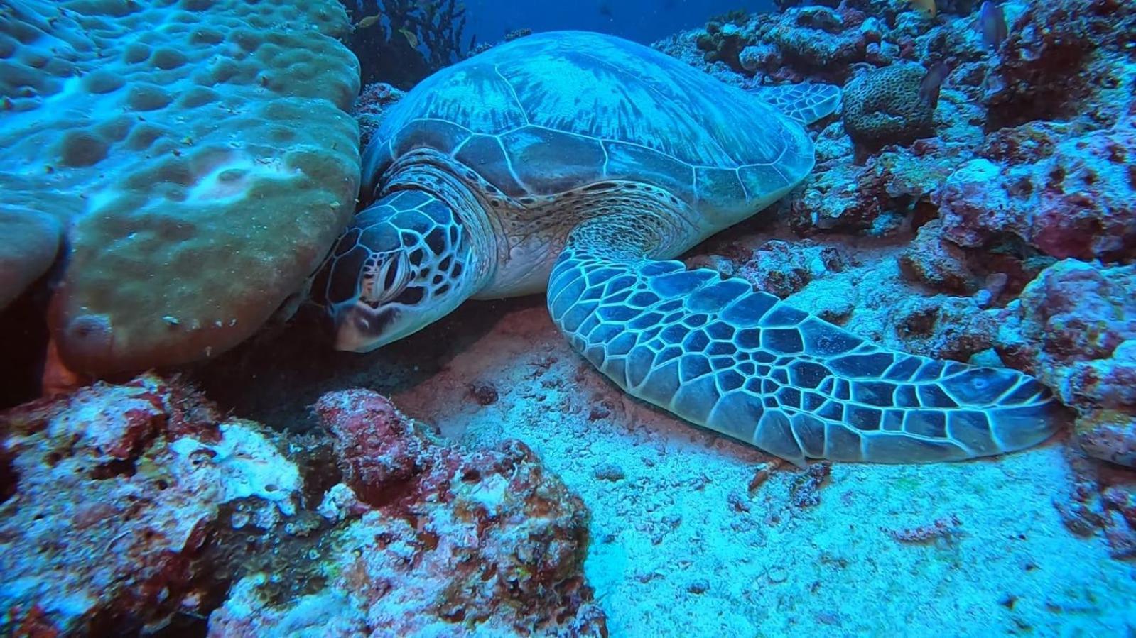 Rashuthere Maldives Rasdhoo Buitenkant foto