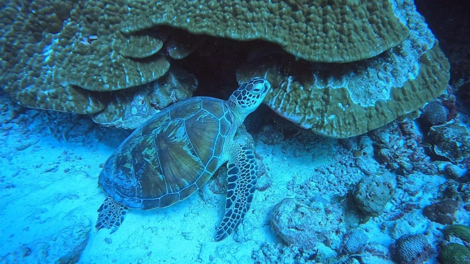 Rashuthere Maldives Rasdhoo Buitenkant foto